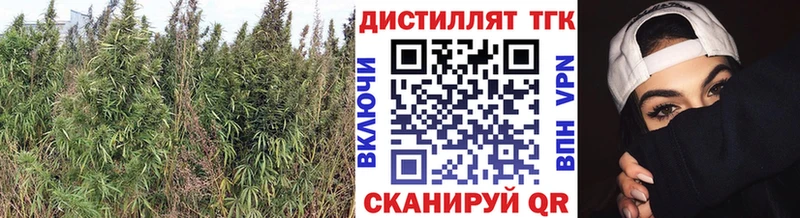 ТГК THC oil  как найти закладки  Новосиль 